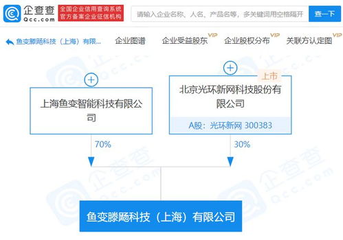 光環(huán)新網(wǎng)斥資億元布局AI 新公司落地，瞄準基礎軟件賽道